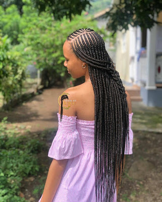 Black Braided Hairstyles for ladies 2