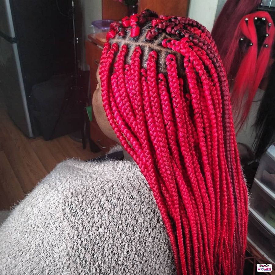 Box Braids hairstyleforblackwomen.net 1611