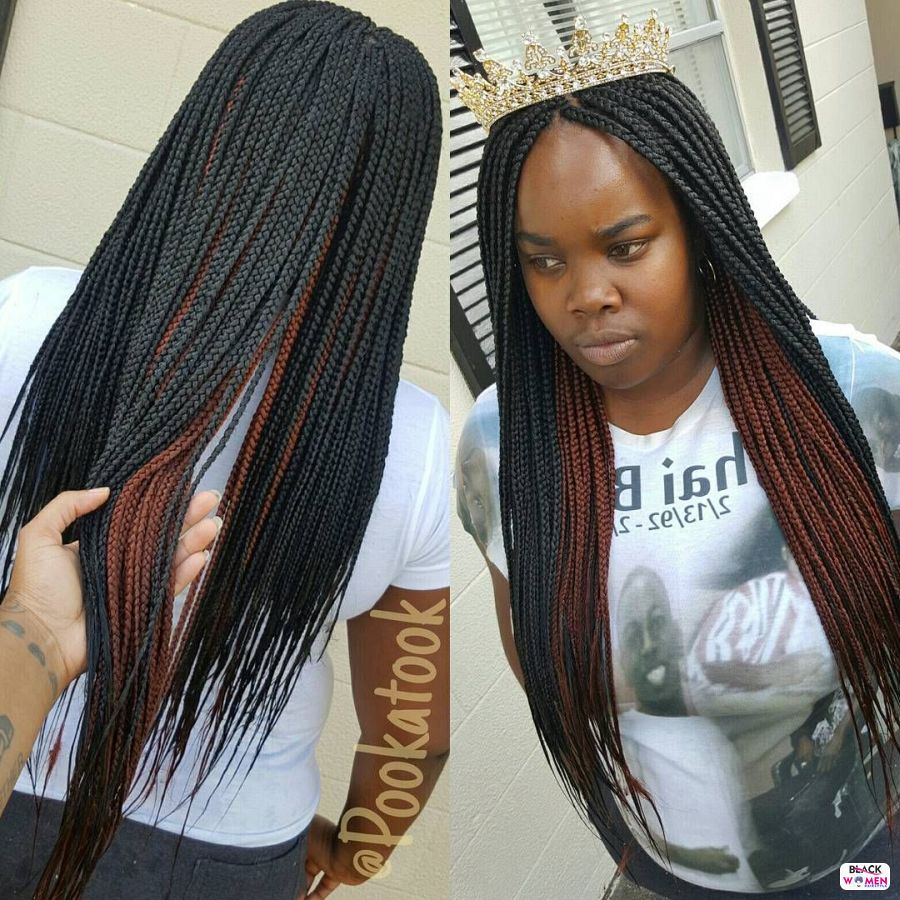 Box Braids hairstyleforblackwomen.net 210