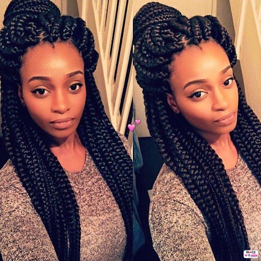 Box Braids hairstyleforblackwomen.net 2229