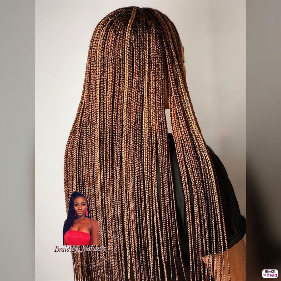 Box Braids hairstyleforblackwomen.net 2270