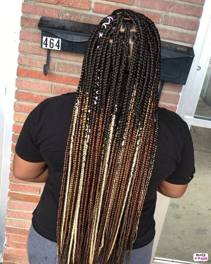 Box Braids hairstyleforblackwomen.net 2450