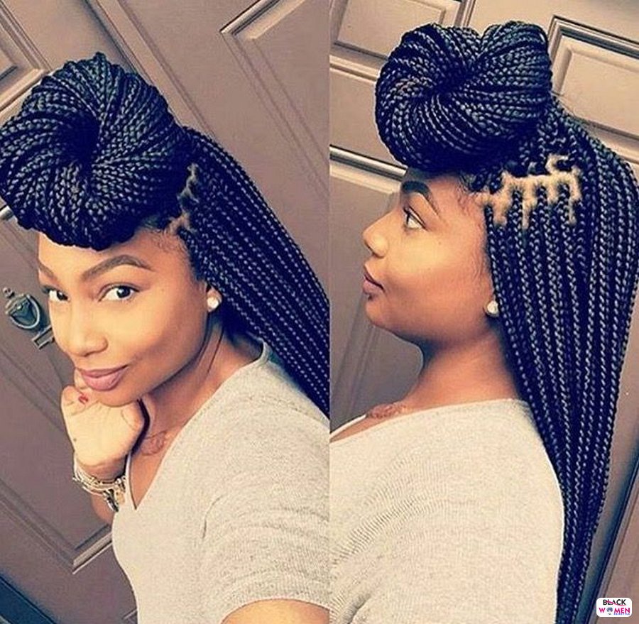 Box Braids hairstyleforblackwomen.net 2513