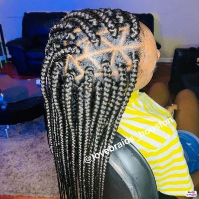 49 Pictures: Natural Braids Hairstyles Pictures: 2020 Best Braids For ...