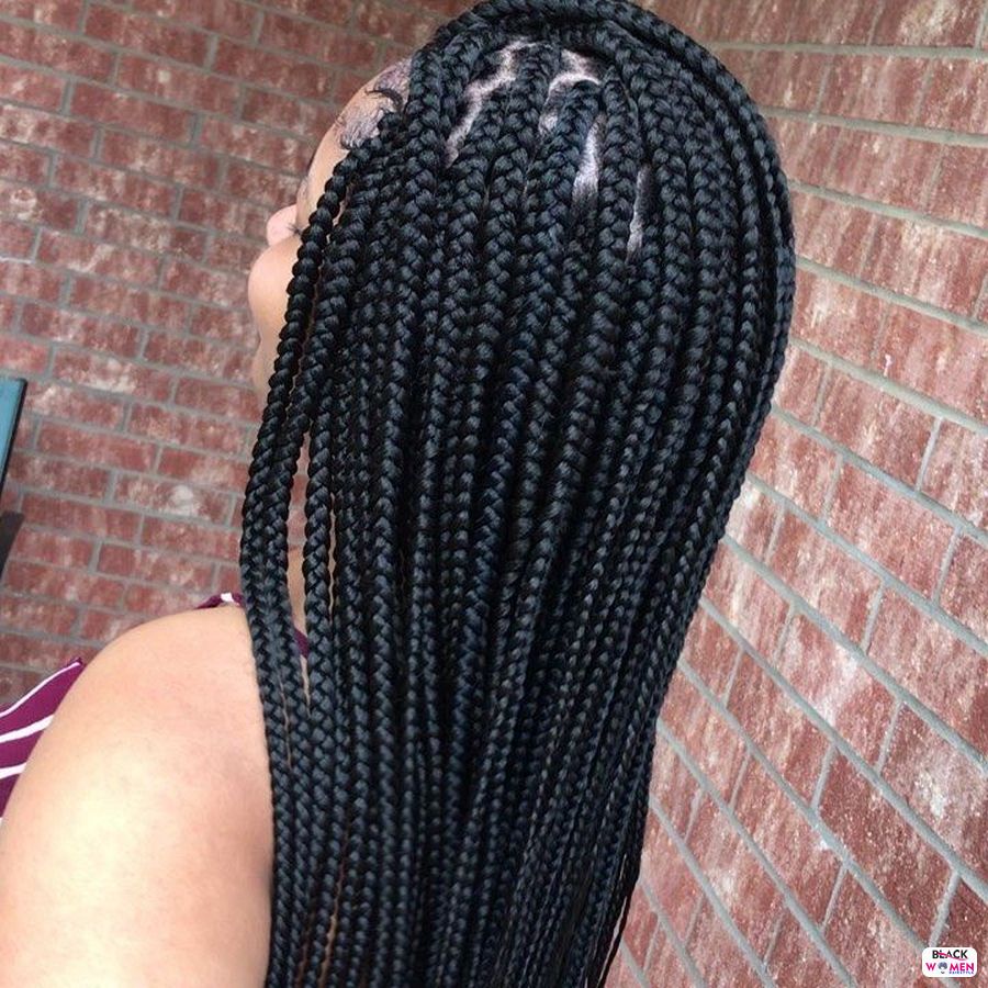 Box Braids hairstyleforblackwomen.net 3005