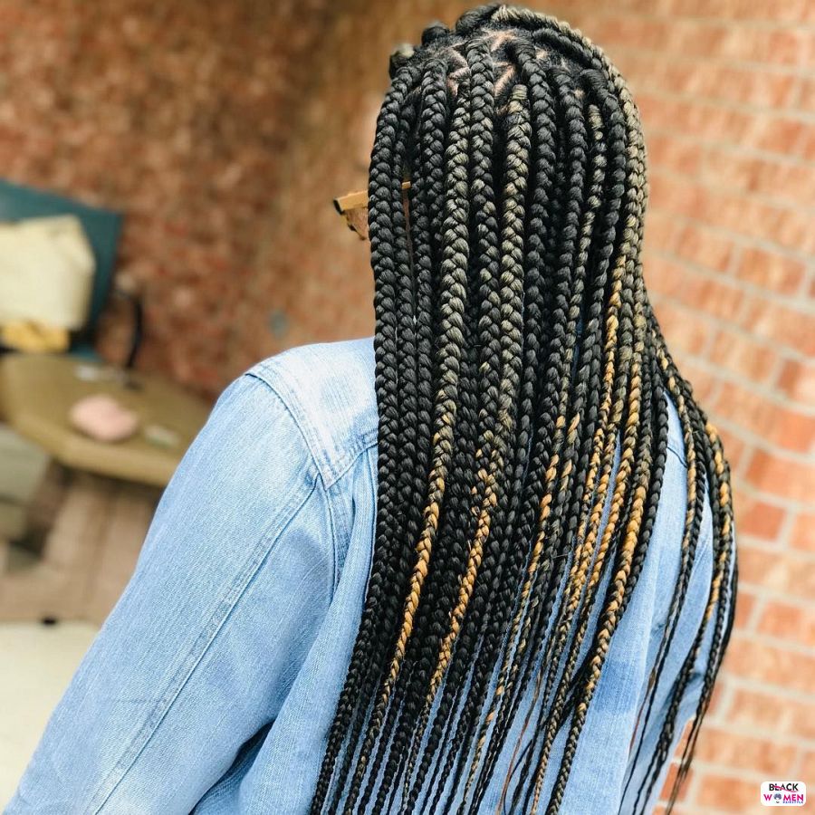 Box Braids hairstyleforblackwomen.net 3194