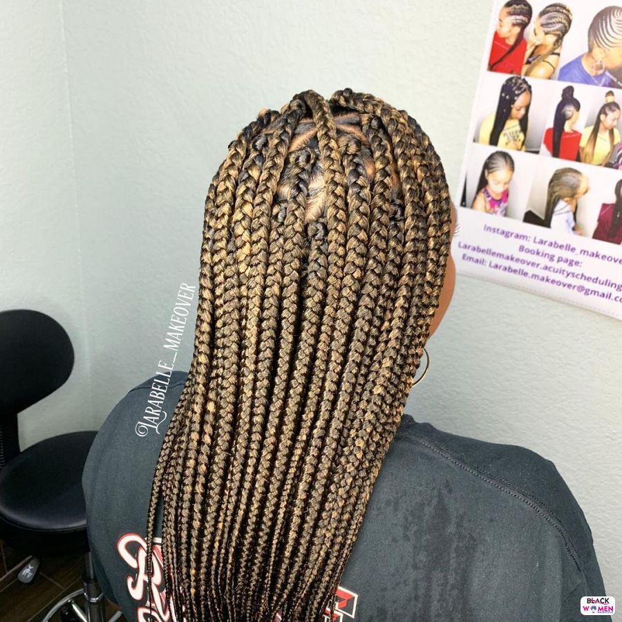 Box Braids hairstyleforblackwomen.net 3499