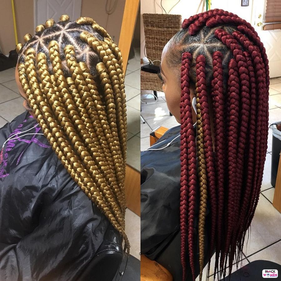 Box Braids hairstyleforblackwomen.net 4361