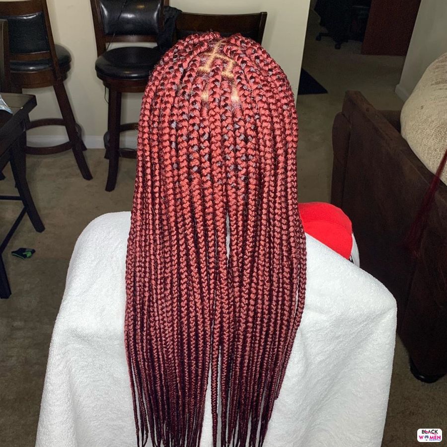 Box Braids hairstyleforblackwomen.net 4535