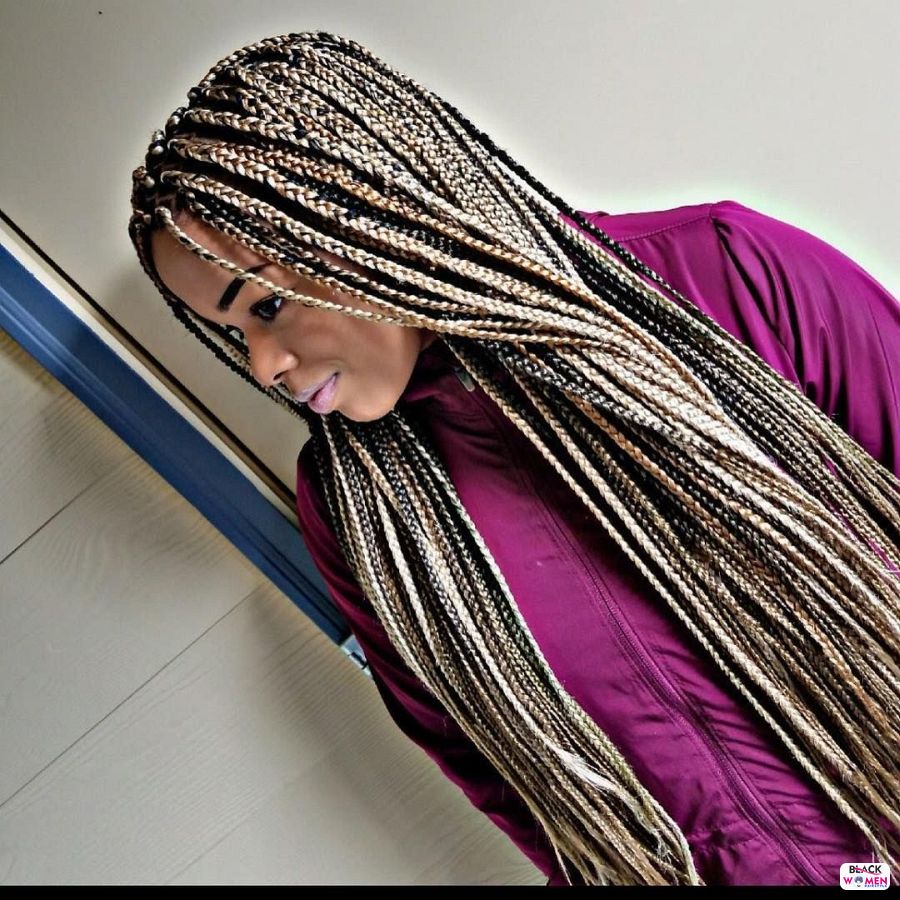 Box Braids hairstyleforblackwomen.net 5270