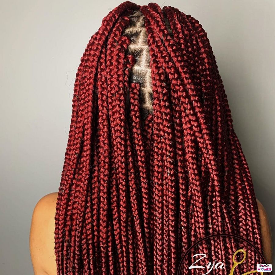 Box Braids hairstyleforblackwomen.net 6029