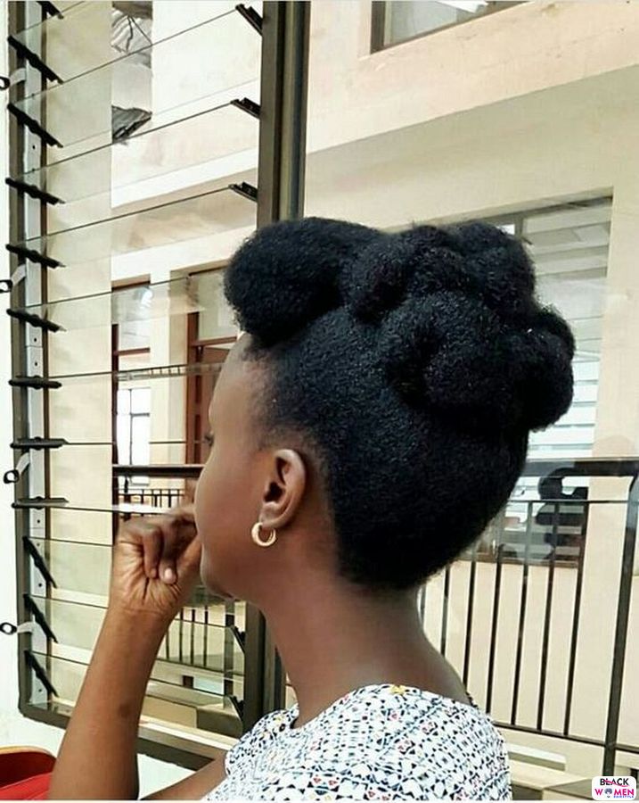 Natural Hair Updos 005