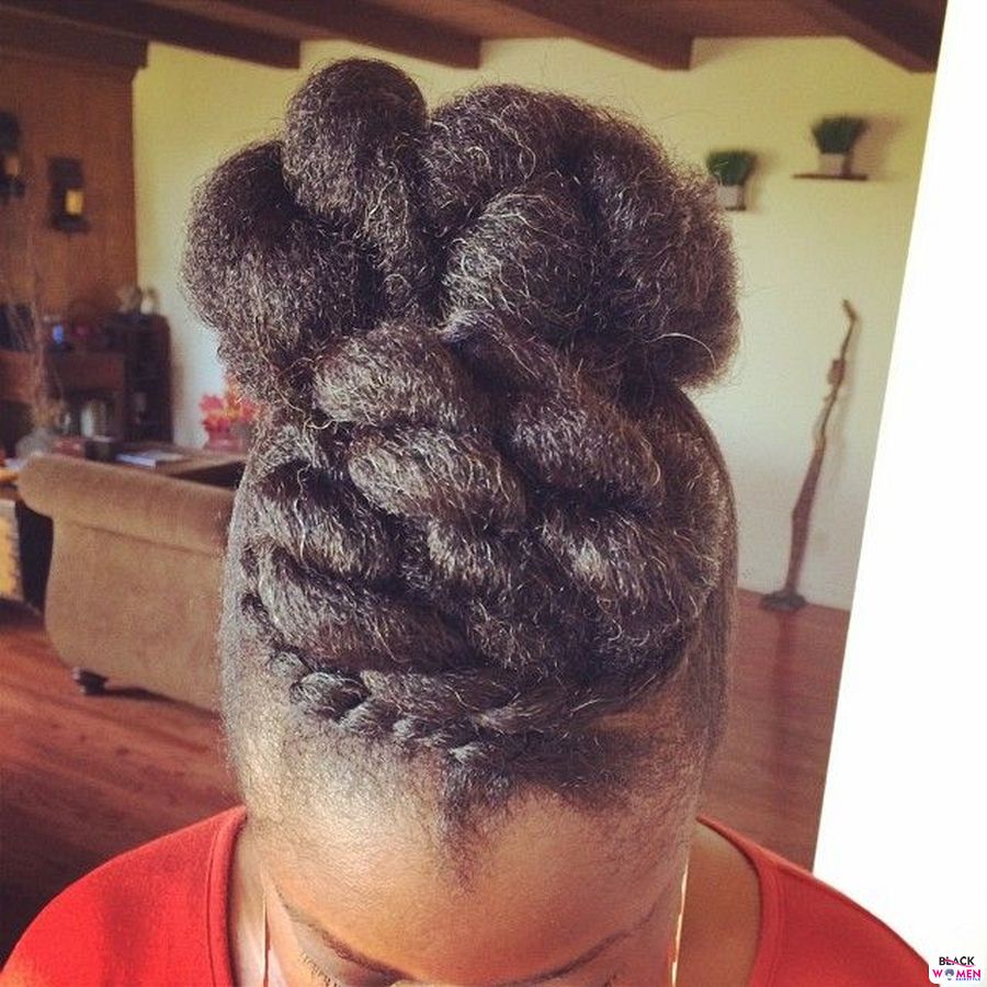 Natural Hair Updos 008