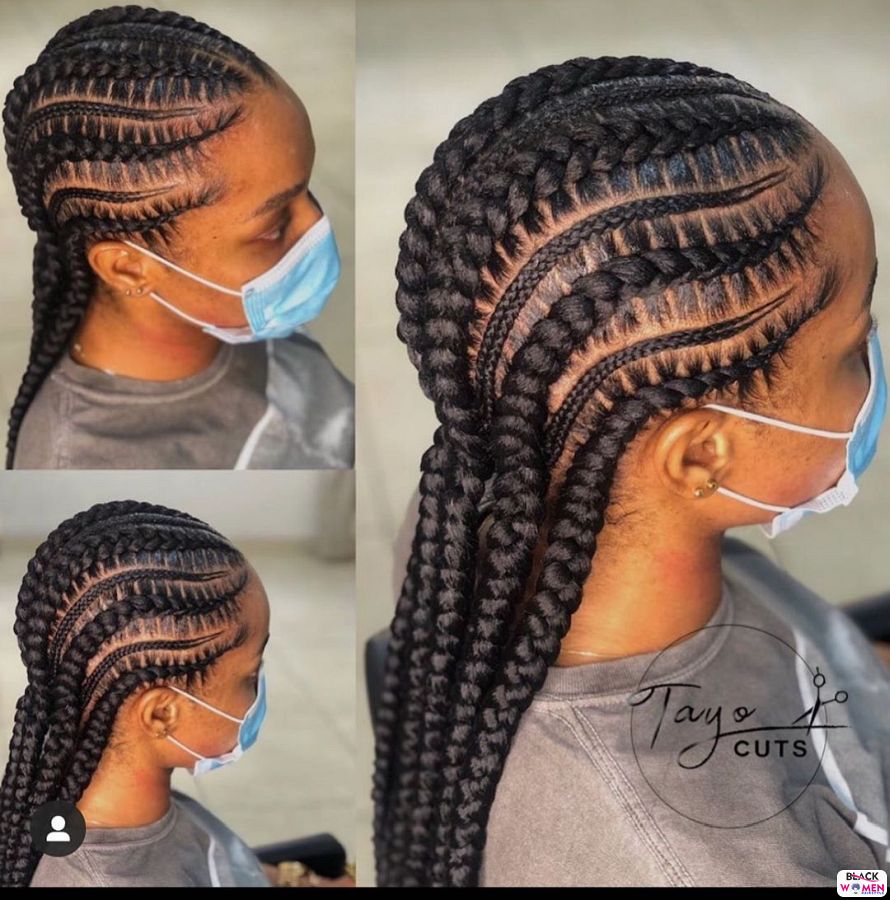 49 Pictures: Natural Braids Hairstyles Pictures: 2020 Best Braids For ...