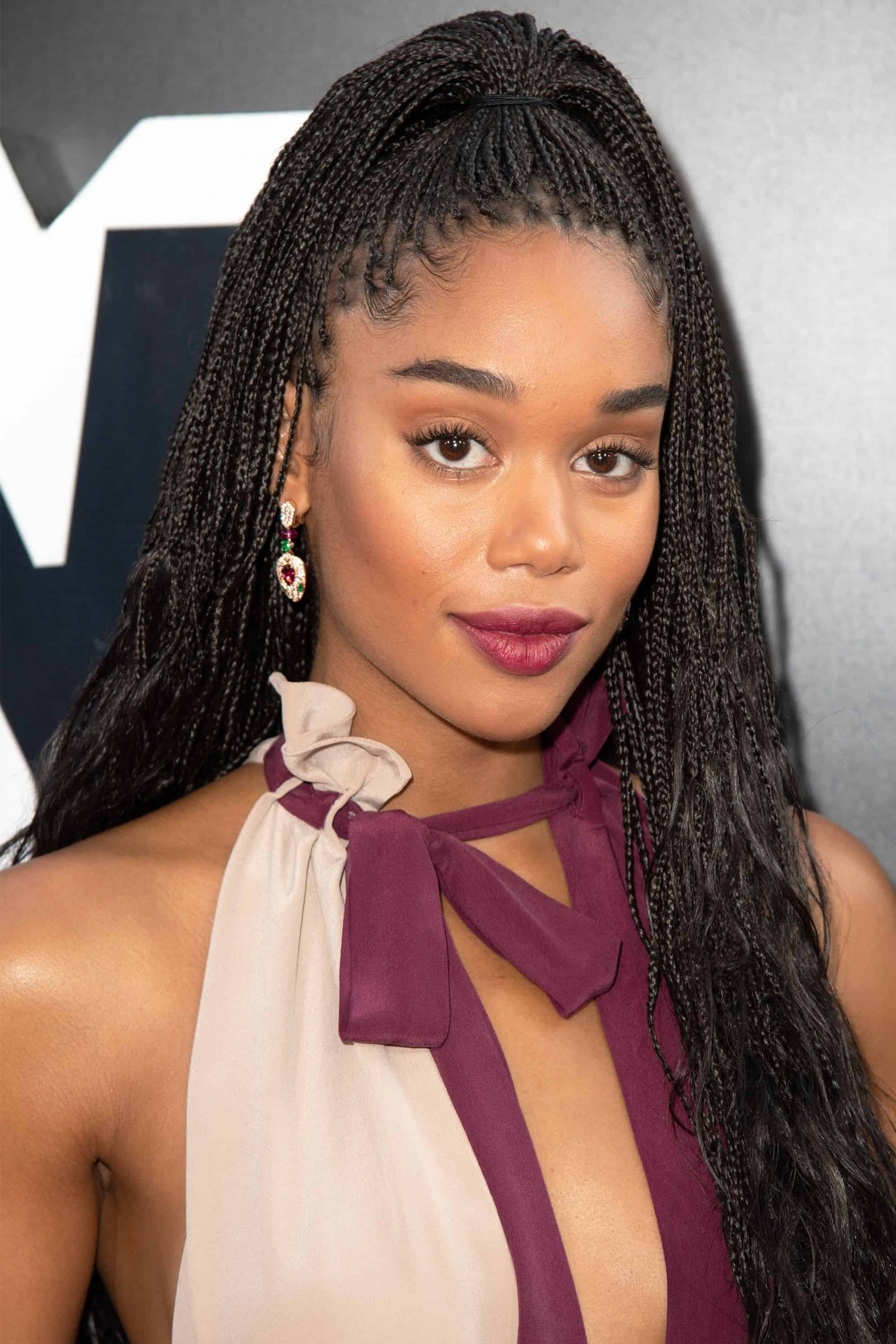 88 Box Braid Hairstyles Worth Trying In 2020 5 tiny braids scaled