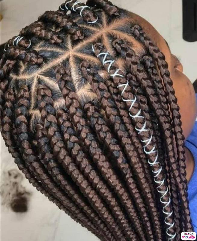 Braids hairstyles 020