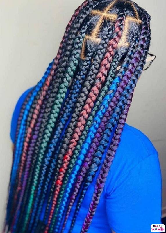 Braids hairstyles 024