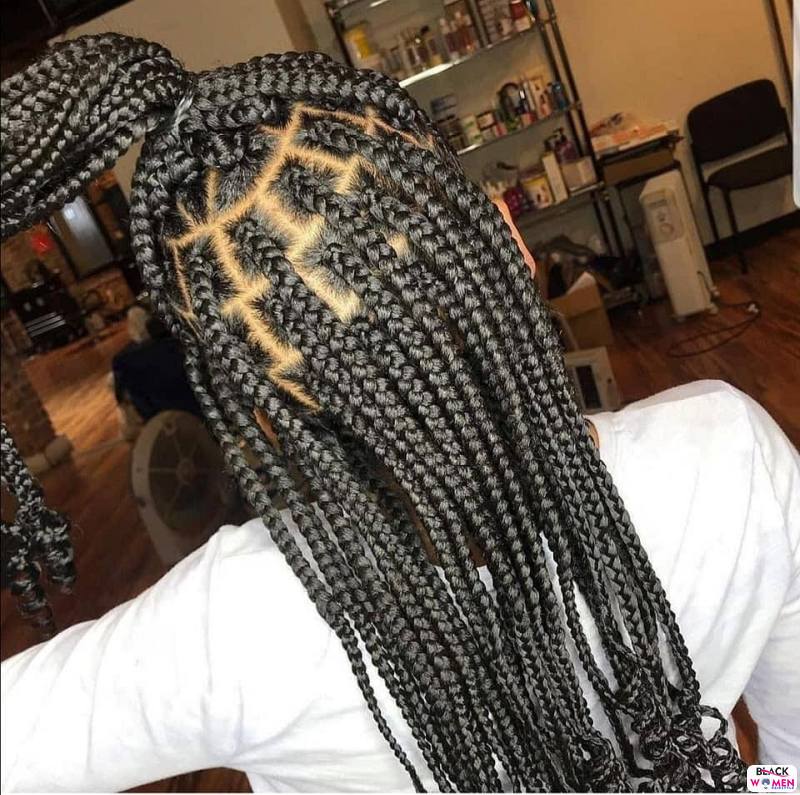 Braids hairstyles 027