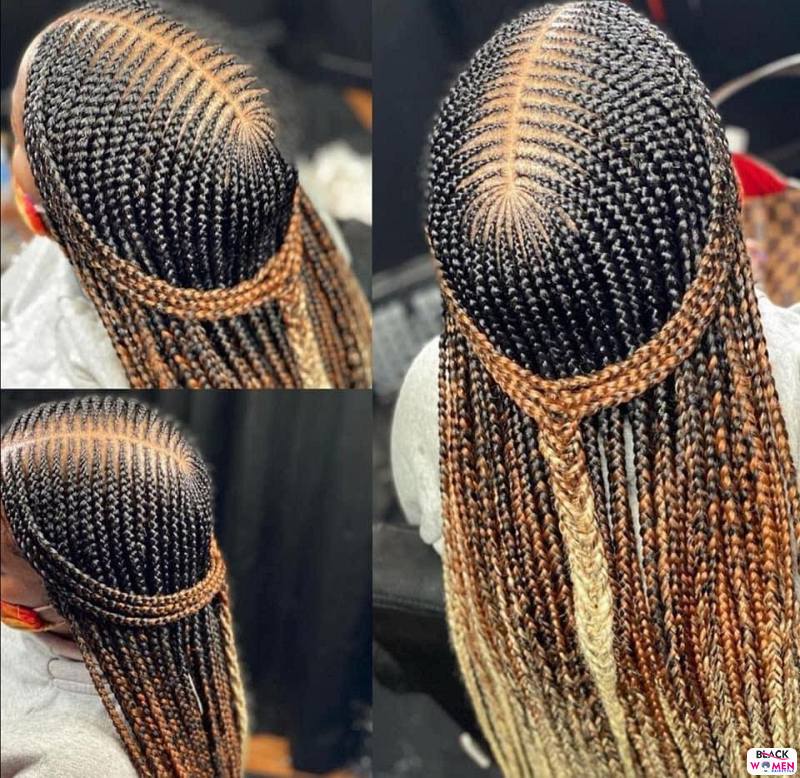 Braids hairstyles 048