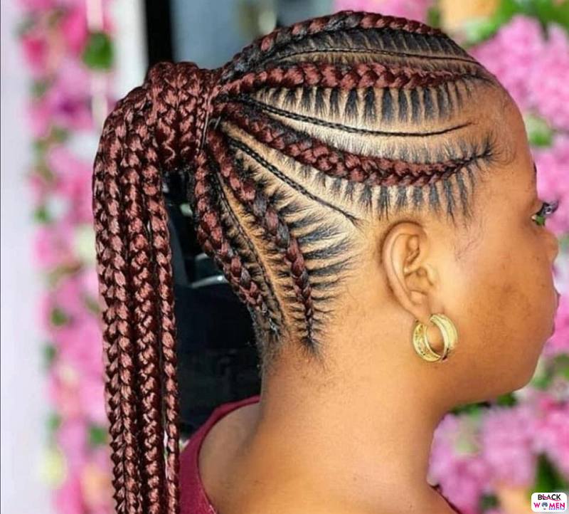 Braids hairstyles 049