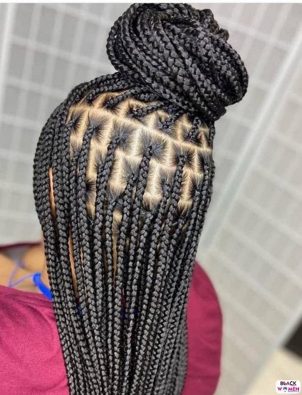 Braids hairstyles 054