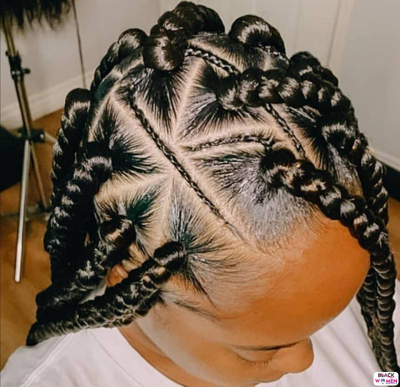 Braids hairstyles 057