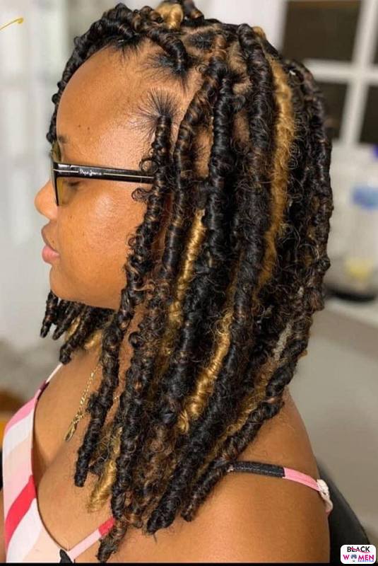 Braids hairstyles 058