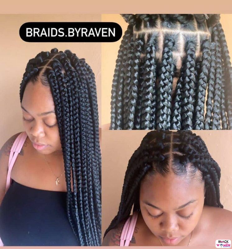 African braids cornrows035