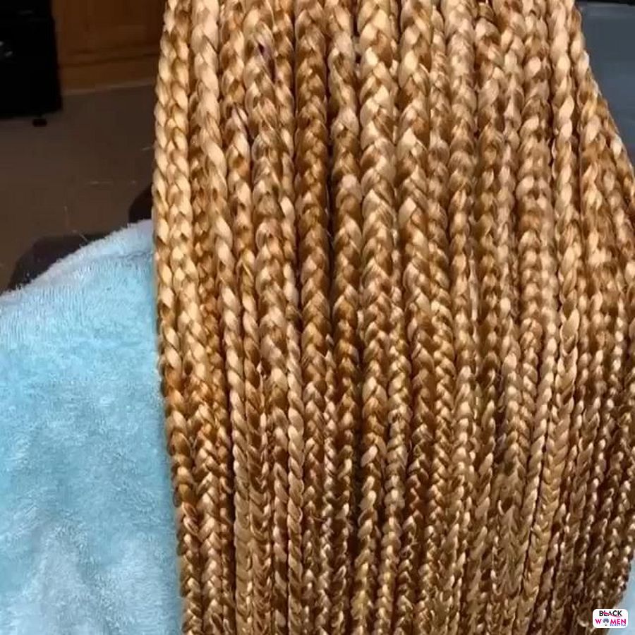 Box Braids hairstyleforblackwomen.net 5197