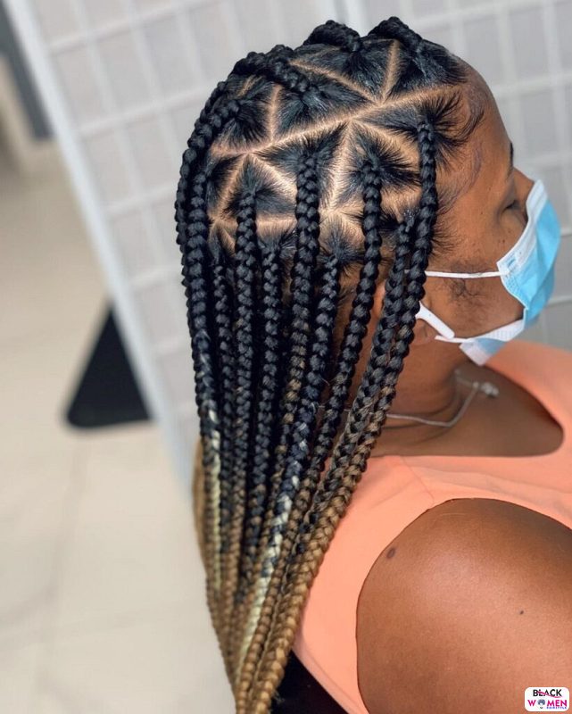 Latest Braids Hairstyle For Ladies 2021 Beautiful Braids 025