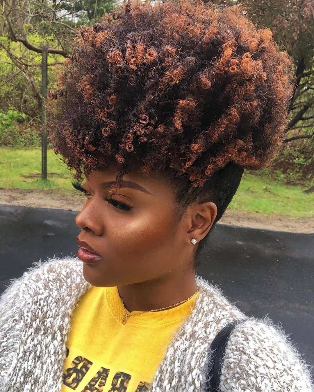 Natural Hair Afro styles019