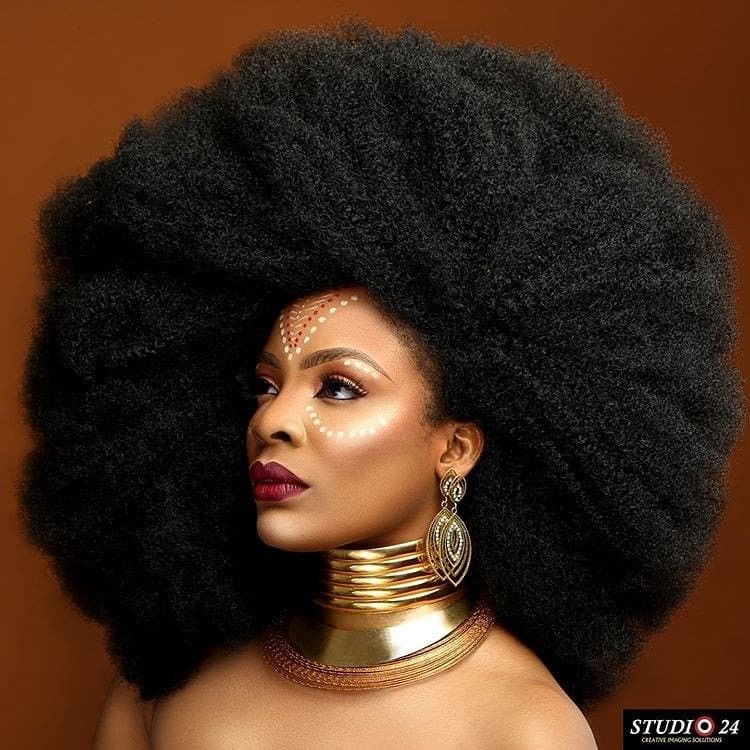 Natural Hair Afro styles023