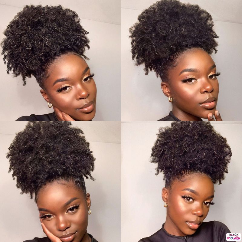 Natural hair updos 014 1