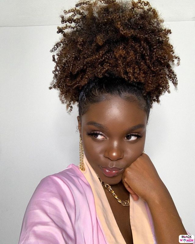 Natural hair updos 016 1