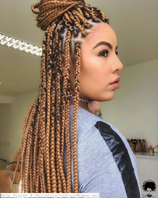 119 Splendid Amazing African Braids Hairstyle Pictures to Inspire You 089
