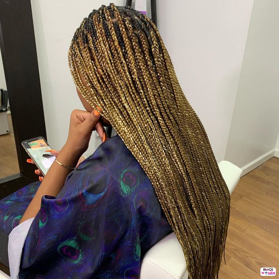 Box Braids hairstyleforblackwomen.net 2549