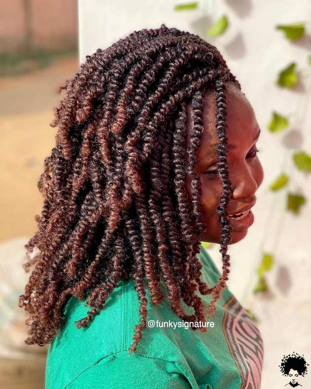 Braids for Black Women 2021 003