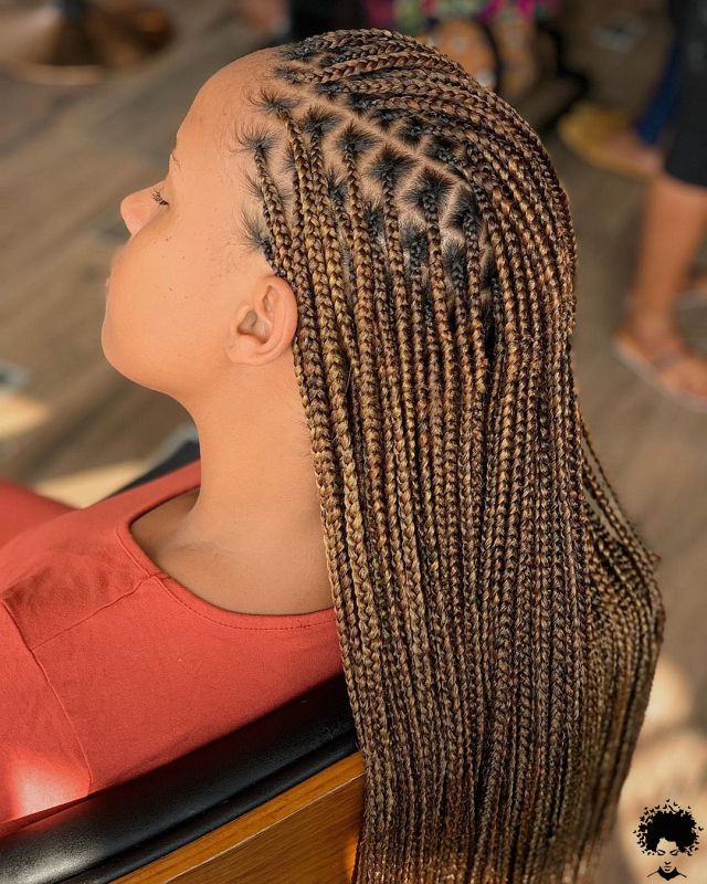 Knotless Braids Pulse