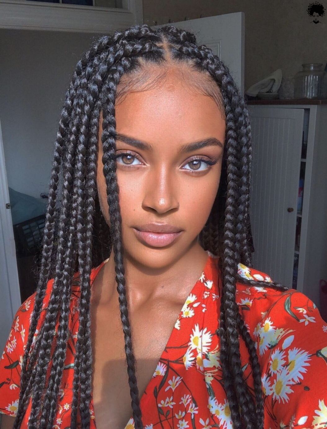 104 Box Braided Hairstyles That Everyone Will Admire 067