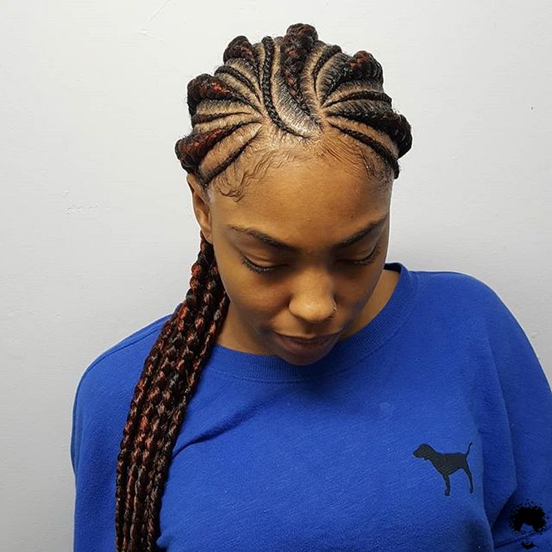 2021 Braided Hairstyles Top Amazing Braids Styles for Ladies 025