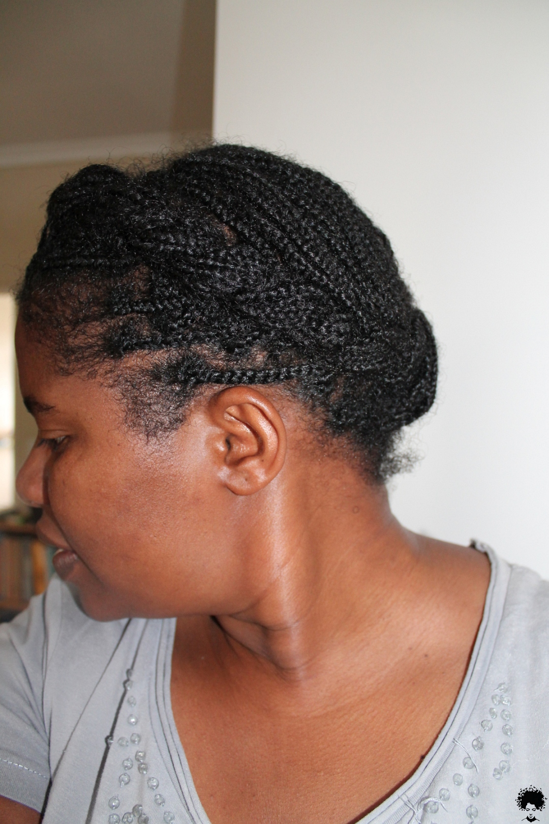 Box Braided Hairstyles for African Women022