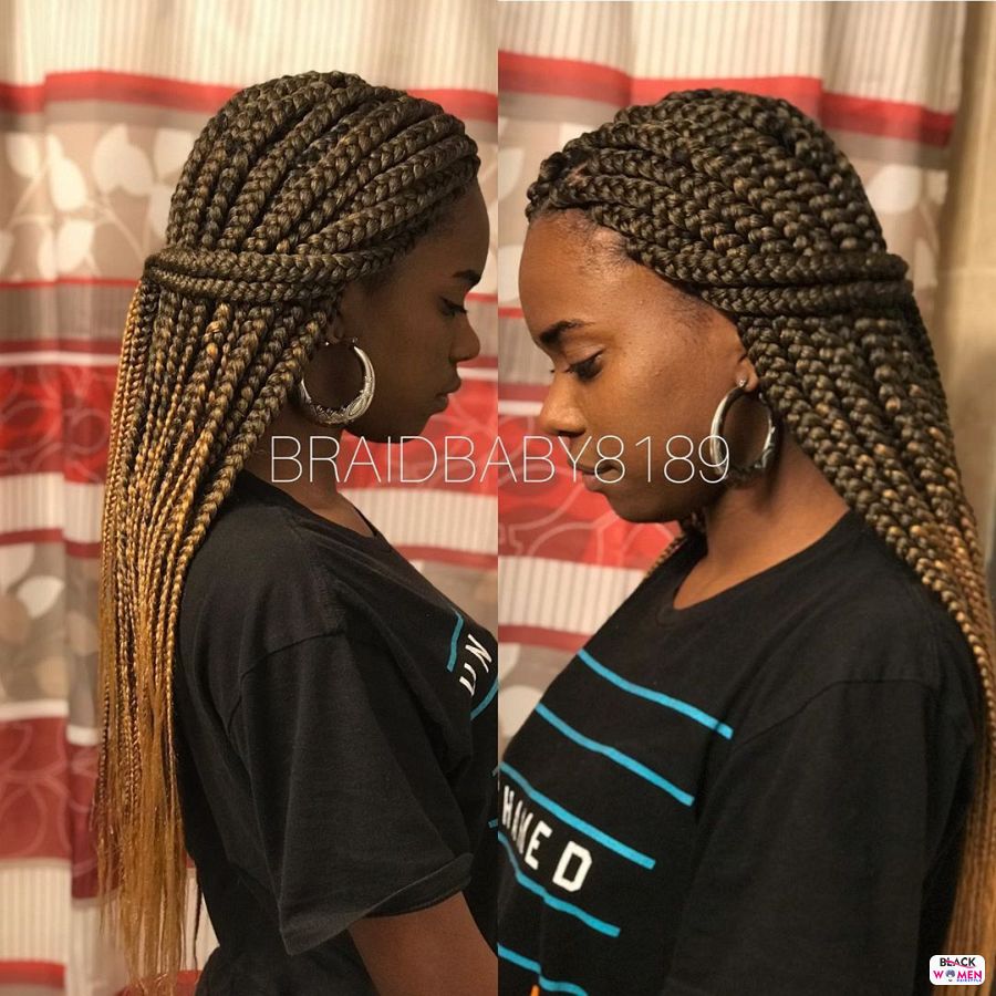 Box Braids hairstyleforblackwomen.net 2205