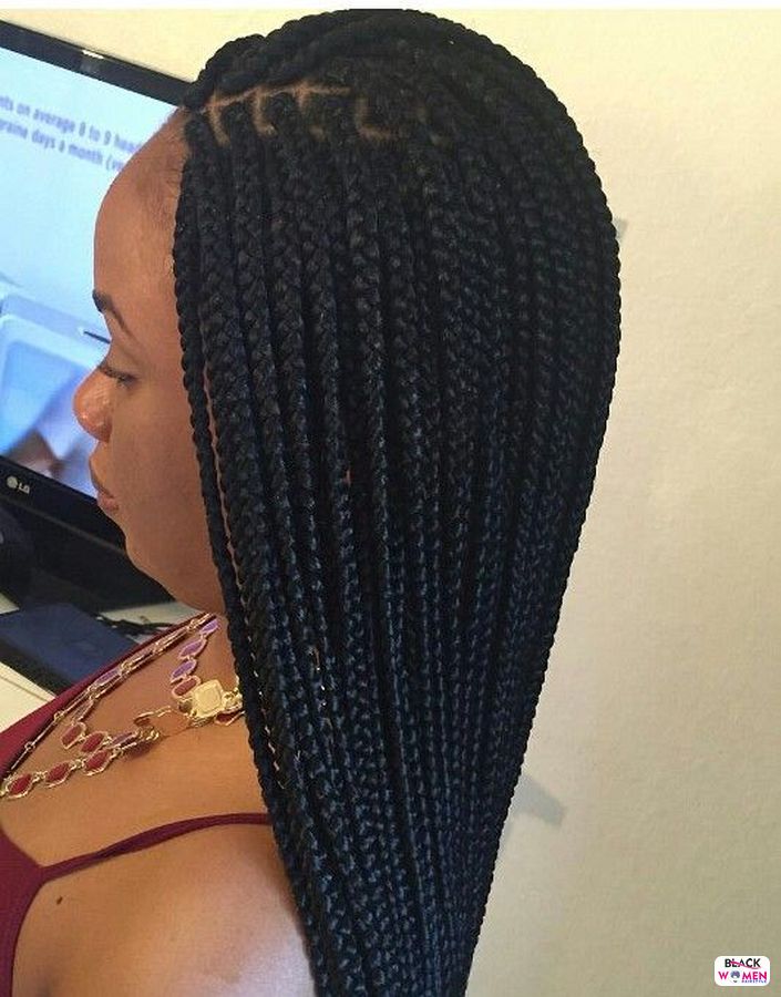 Box Braids hairstyleforblackwomen.net 2209