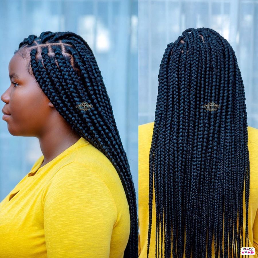 Box Braids hairstyleforblackwomen.net 2369