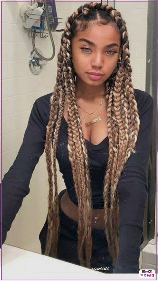 Box Braids hairstyleforblackwomen.net 2377