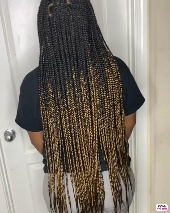 Box Braids hairstyleforblackwomen.net 2379