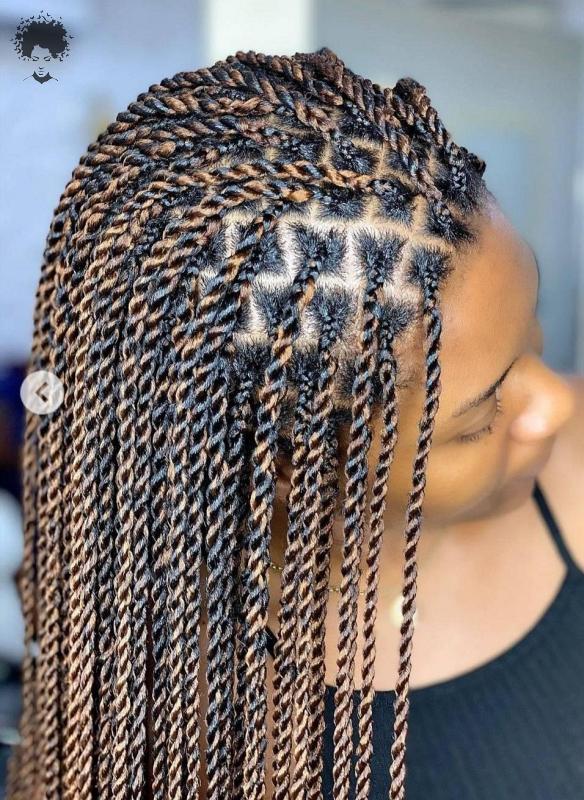 Hot and Stylish Black Braided Hairstyles005