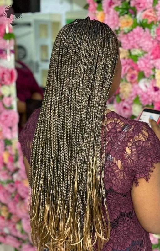 Hot and Stylish Black Braided Hairstyles015
