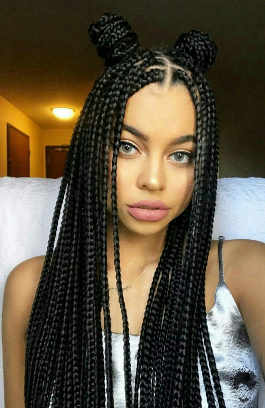 Hot and Trendy Black Braided Hairstyles Youve Not Tried This Year038