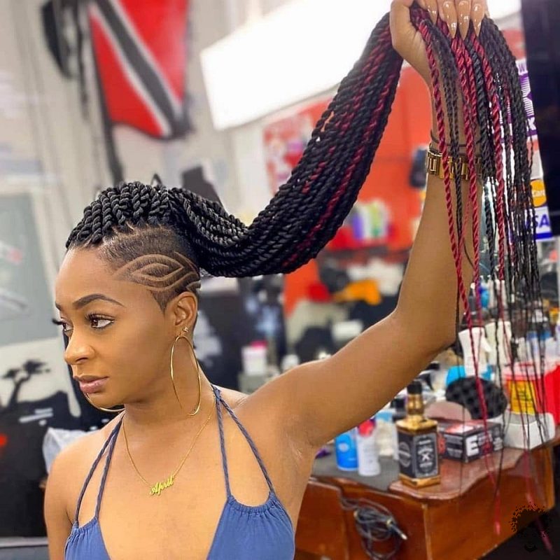 35 Gorgeous African Hair Braids to Spice Up Parties 01